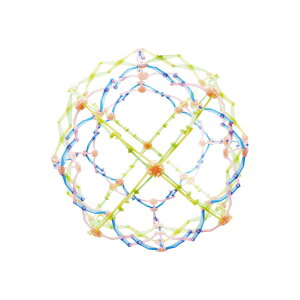 qp rS ii yLk{[~Ver.z q  ii q  ߋ j̎q ̎q w v[g Ղ  