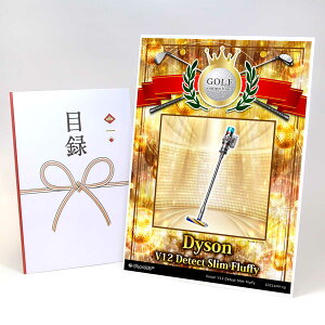 StRy ii ژ^ yAbvO[h StRy pl Dyson V12 Detect Slim FluffyzA3plt iiZbg Ryii StRyii StRyܕi lC  \  S