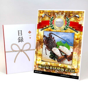 StRy ii ژ^ yAbvO[h StRy pl ɗ⍋؈ɐCV2zA3plt iiZbg Ryii StRyii StRyܕi lC  \  S