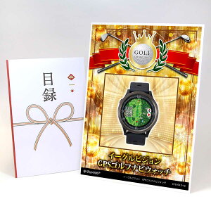 StRy ii ژ^ yAbvO[h StRy pl 2FIׂC[OrW@GPSStirEHb`zA3plt iiZbg Ryii StRyii StR