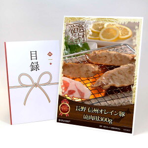 ژ^ pl rS ii  y@MBIC؏ēp300gzA3pl rSii OMtg plt YN  񎟉 I St Ry ii