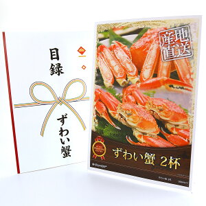 365o rS ii yNApl ژ^`Pbg 킢I 2tzA4pl ژ^ rSii OMtg plt YN  񎟉 I St Ry ii