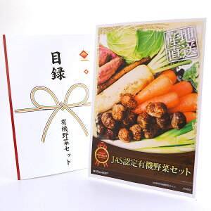 ژ^ pl rS ii yJASFL@؃ZbgzA3pl rSii OMtg plt YN  񎟉 I St Ry ii