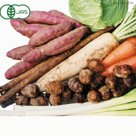 楽天市場 有機野菜 プレゼントの通販