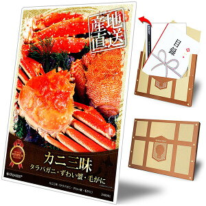 ژ^ pl rS ii yiigW[Zbg wJjOi^oKjr 킢IAтɁjxzA3pl rSii OMtg plt YN  񎟉 I St R