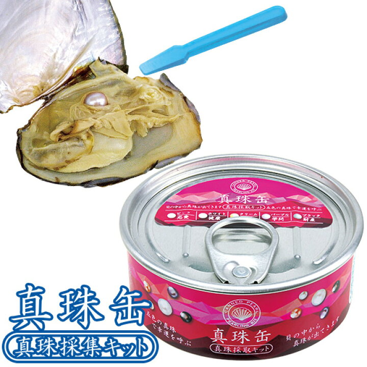 楽天市場】子供用 ビンゴ 景品 【真珠缶 真珠採集キット】 子供会 