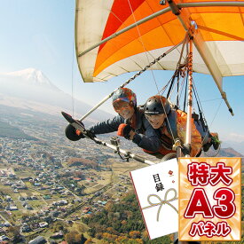 楽天市場 ハンググライダーの通販 楽天市場 ハンググライダーの通販