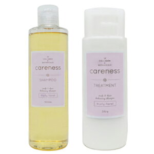 őP10{ Gg[Xv  Zbg̔ PAlX Vv[ t[eB[ t[ 300ml + g[gg t[eB[ t[ 200g eꔄ Tꔄ CARENESS