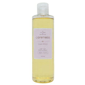■最大P10倍＆クーポン エントリー＆当店買い回り要■ ケアネス シャンプー フルーティー フローラル 300ml 美容室専売 サロン専売 CARENESS
