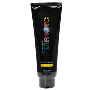 őP10{ Gg[Xv  J[~[Y oC v~GX J[ N[ 240g CG[ J[ Tꔄ eꔄ SHISEIDO