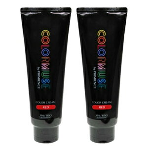 őP10{ Gg[Xv  2{Zbg  J[~[Y oC v~GX J[ N[ 240g bh J[ Tꔄ eꔄ SHISEIDO