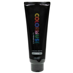 ő2100~OFFN[|zz  J[~[Y oC v~GX J[ N[ 240g O[ J[ Tꔄ eꔄ SHISEIDO