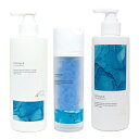 ■最大P10倍 エントリー＆当店買い回り要■ ● 3点セット販売 ストリ エクスチェンジ プラス H2 シャンプー 300ml ＋ トリートメント 300ml + カプセル 100ml サロン専売 美容室専売 水素 艶 髪 STRI パッケージ リニューアル