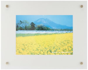 FUJICOLOR �z�� �v���t���[�� 2L �A�N���� �V���o�[ 40100