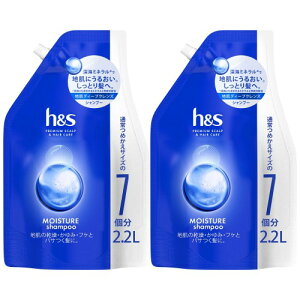 h&s ���C�X�`���[ �V�����v�[ 2.2L 2�Z�b�g �l�ߑւ��p