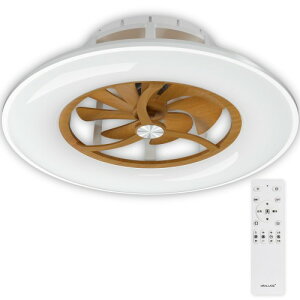 ORALUCE �V�[�����O�t�@�����C�g 10�� �t�@���t�� LED�V�[�����O���C�g ���a 56CM 4600lm �������F �ԐڏƖ� �������[�@�\ ���ʒ��߁E�����ؑ� �T�[�L�����[�^�[ �����R���t�� �ؖڒ�
