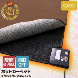 楽天市場】 電気暖房器具 > ホットカーペット > 235×176cm : Fスタイル