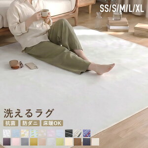 【48%オフクーポン】 洗える フランネルラグ 軽量 滑り止め 洗える ラグ 絨毯 ラグマット ラグ フランネル 長方形