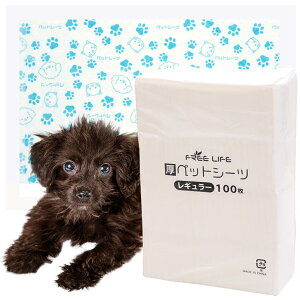 y50%ItN[|z ybgV[c M[ 100 Ch 50 X[p[Ch25 ^ ybg V[g V[c ybgV[g ybgp  L V[c gC 1 ĝ