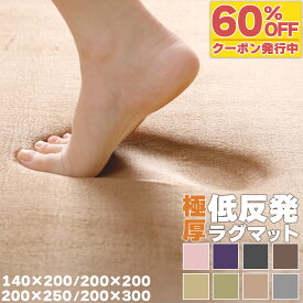【60%オフクーポン】 ラグ 低反発 極厚25mm 140×200cm 200×200cm 200×250cm 200×300cm ラグ 厚手 滑り止め ラグマット マット カーペット ホットカーペット対応 リビング 秋 冬 おしゃれ 北欧 フリーリー