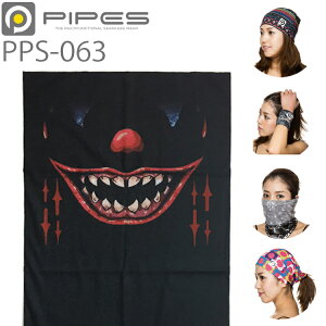 䂤pPbgΉ5 PIPES pCvX V[X}`t@NVo_i PPS063 sG t[TCY yΉ