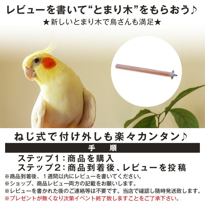 楽天市場】ネクトン Bio 35g 期限 2024/07/28 : フリーラゲッジ 楽天市場】ネクトン Bio 35g 期限 2024/07/28 : フリーラゲッジ