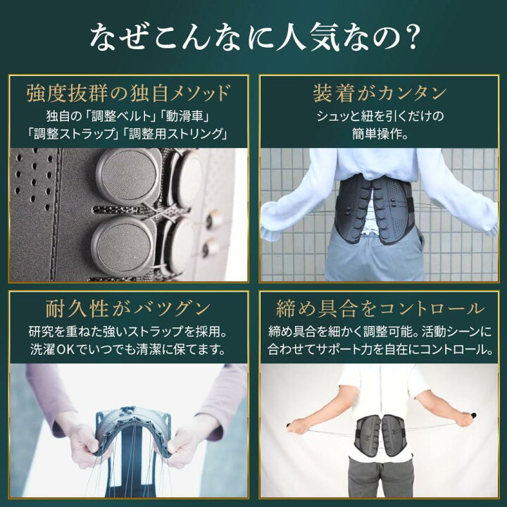 楽天市場】ガードナーベルト 正規品 男女兼用 腰 サポーター 