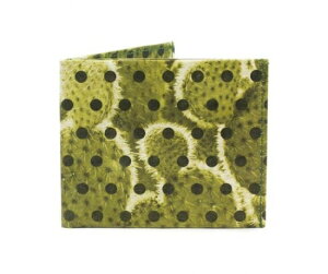 Paperwallet (�y�[�p�[�E�H���b�g) Wallet ( ��܂���z) Tyvek (�^�C�x�b�N) �� WAL013PCA �yPolkactus�z