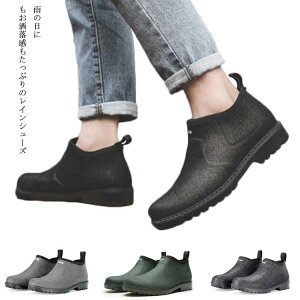 Cu[c ~J΍ Y amC V[gu[c JC CV[Y o[u[c V[Y h CV[Y Jp Ȃ jp AEghA ʋ Ɨp rWlX y