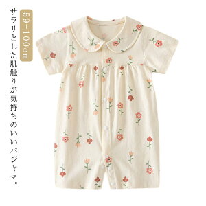  t xr[ pX 100 xr[ OJ q Jo[I[  xr[ ̎q V LbY i` ԕ 킢  p[X  59 66 73 80 90 xr[ ΍