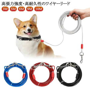 ^ ̎U `[u Kтɂ p[h C[ XeX ^ 3M C[[h ؂Ȃ[h [h hbO[h O[h 6M 5M ؂Ȃ[h 9M 10M