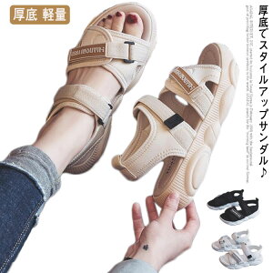 T_  X|[cT_ V[Y {[ X|T  Xbp fB[X C r ăT_ xN  ₷ Ȃ ~ y AEghA ʋ