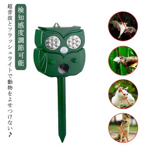 gƋ̓tbVCg mx߉\ \[[[d g R[hX ފ JX悯 USB[d 悯  Lގ 悯 L ފ g  悯 lR L