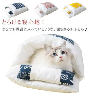 g L ybgxbg  zc ӂӂ ~p ~  ^ L ybg 킢 􂦂 p NbV Lp Q ^ xbh ӂƂ Lxbh xbh L̃xbh h[^ ybg