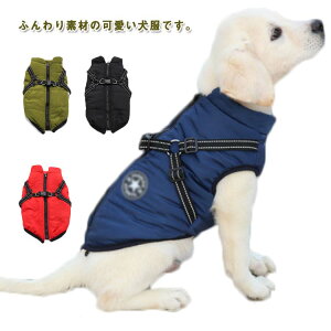 wJ AE^[ ^ ~ g  ~ j̎q ybg ȃWPbg ybg ^ іh~ ^ H~   ̎q w J Ȃ ~p h   ₷