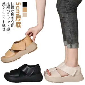 fB[X Ȃ  T_ t   T_ Od K  H  EH[LOV[Y gȌT_ ʋC b lԍHw Xj[J[ T_ g