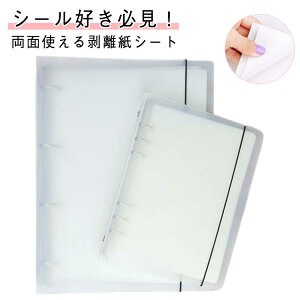 \Ĕ e 䎆 藼 80 oC_[ƃV[ V[䎆 V[g  V[ 80   I^ V[Â NAoC_[ V[ A4 V[