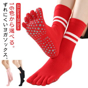 seBX 16F EGA K\bNX Ȃ 5{w ~ ܐ悠 KEFA K 16F O zbgK \bNX C MX g IV