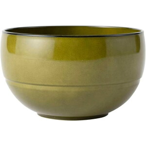 o ی^ WAYOWAN ATqm a{ H@Ή dqWΉ 540ml TCY iJ[Lj