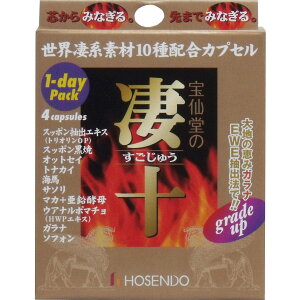 ��哰�̐��\ 1day�p�b�N