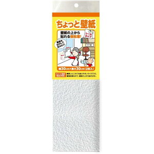 ������ƕǎ� �V�[���^�C�v 30cm×30cm 2���� �z���C�g KF341