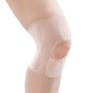 ҂̕GT|[^[ s^ iMTCYj