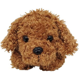 xXgGo[ Aj}yP[X gCv[h