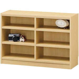 ^iI {I ؐ bN Ch VFt 60cm^Cv i`uE o JE^[