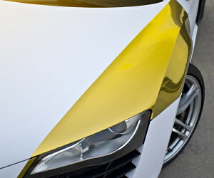  bL J[{fBbsOV[g GAadlS[h JbeBOV[g GAt[152×100cm