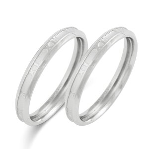 FREE STYLE TCg XeX AM[Ή AM[t[ yAO yAANZT[ yA wցEO LO [} v[g Mtg FSSTR039-039 Zbg Vv t