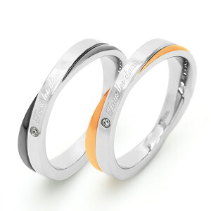 FREE STYLE TCg yAO Vv NbVO AM[Ή XeX yAANZT[ yA OEw LO v[g Mtg Vv t[X^C FSSTR046BK-046G