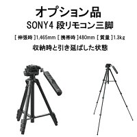 ビデオカメラレンタル7泊8日SONYFDR-AX604Kソニーハンディーカム高画質動画歩き撮りブレない安定4K撮影光学12倍ハイビジョン運動会イベントお遊戯会鉄道撮影旅行子供kamera