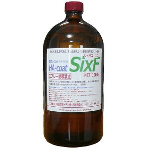 | KXR[eBO 100m2p1000gAVbNXEGt SixF ϋv3Nȏ