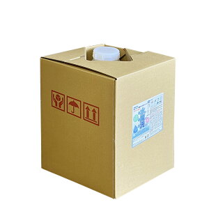 強アルカリ電解水 強アルカリ電解水水魔洗10L DKW10L 電解水 洗浄用 多目的 油汚れ 除菌 キッチン お風呂